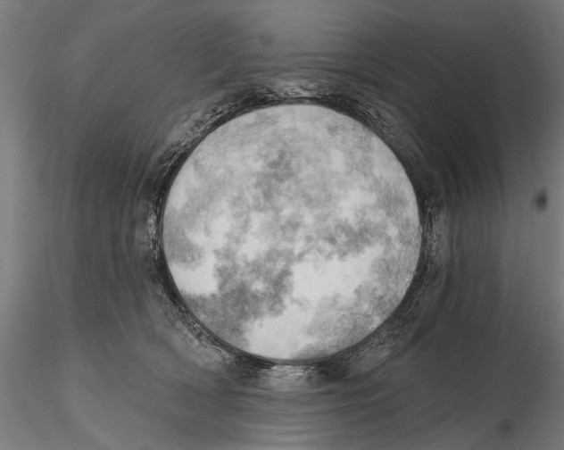 X0000115590418200912081054