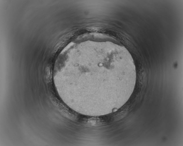 X0000115590420200912081054