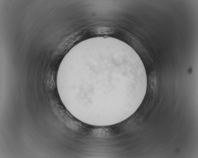 X0000115590422200912081053