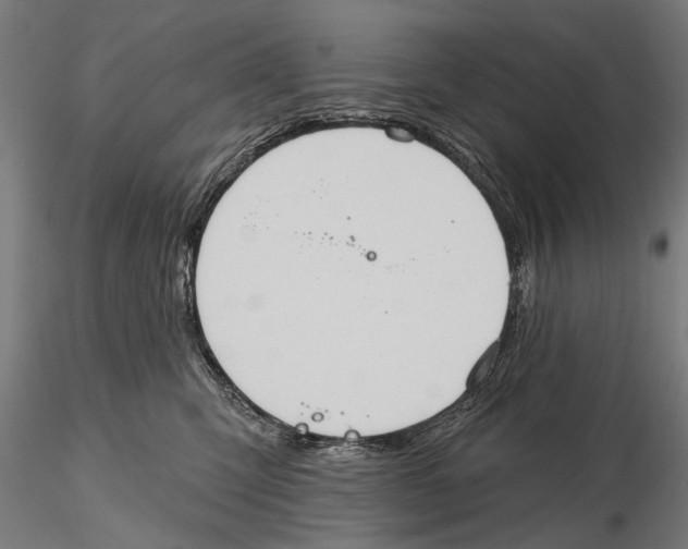 X0000115590423200912081053