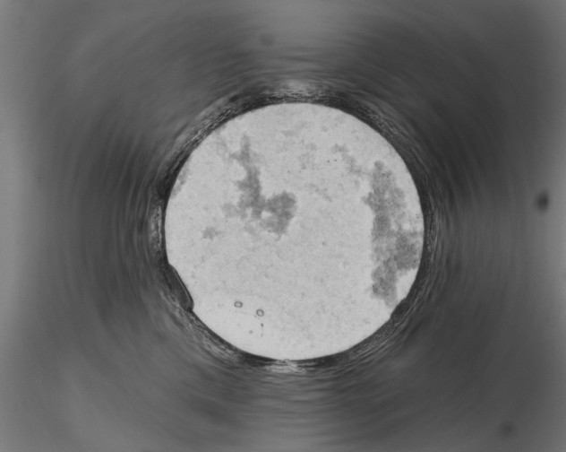 X0000115590425200912081053