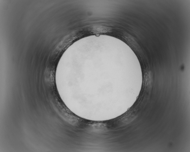 X0000115590426200912081053