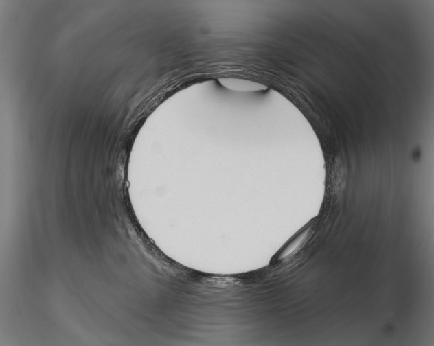 X0000115590427200912081053