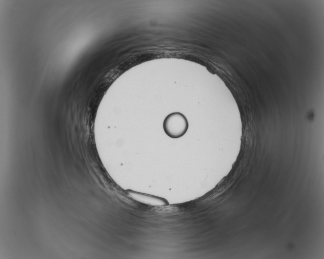 X0000115590429200912081053