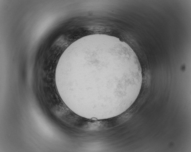 X0000115590430200912081053