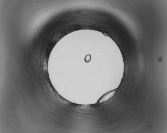 X0000115590431200912081053
