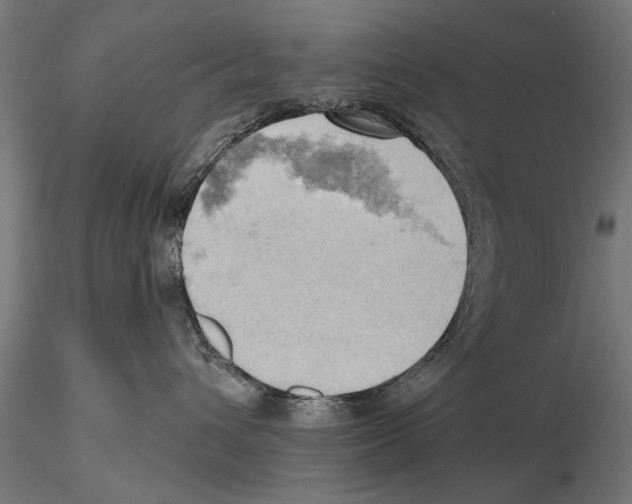 X0000115590432200912081053