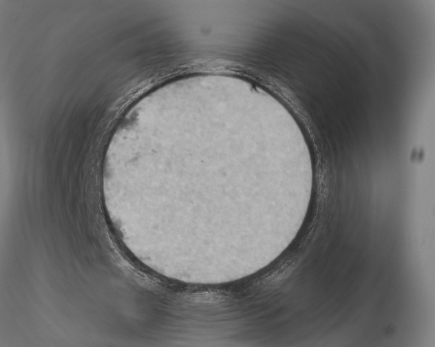 X0000115590433200912081053