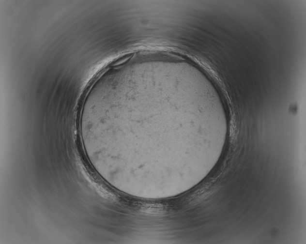 X0000115590438200912081053