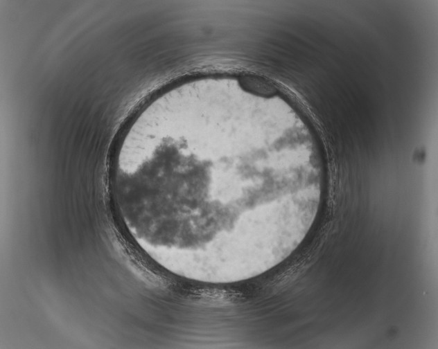 X0000115590439200912081053
