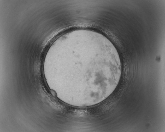 X0000115590440200912081053