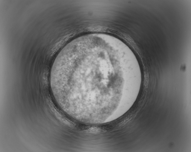 X0000115590441200912081053