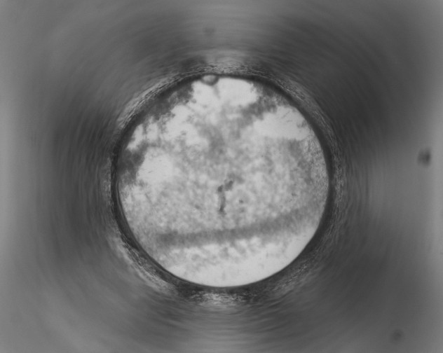 X0000115590442200912081053