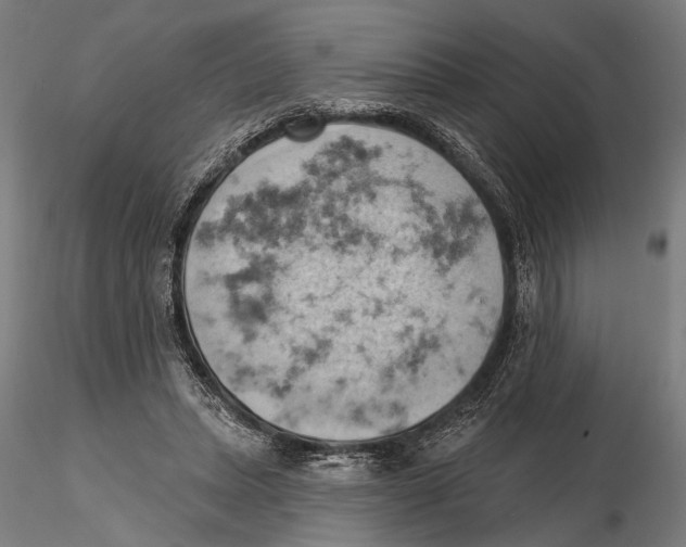 X0000115590447200912081053