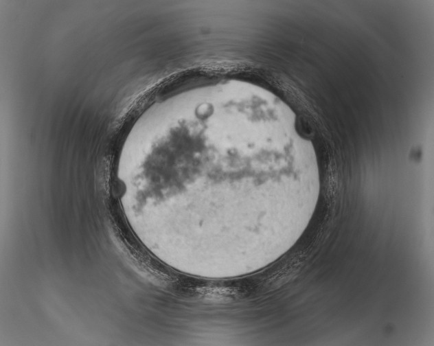 X0000115590448200912081053