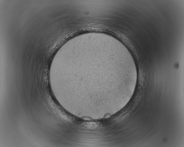X0000115590449200912081053