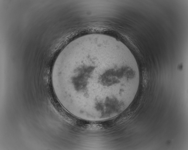 X0000115590451200912081053