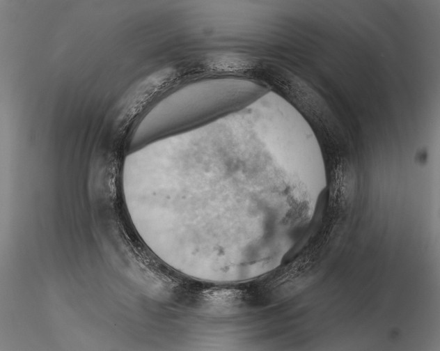 X0000115590452200912081053