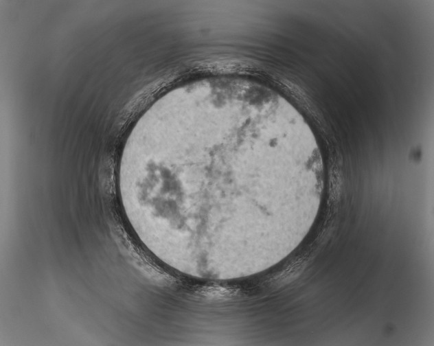 X0000115590453200912081053