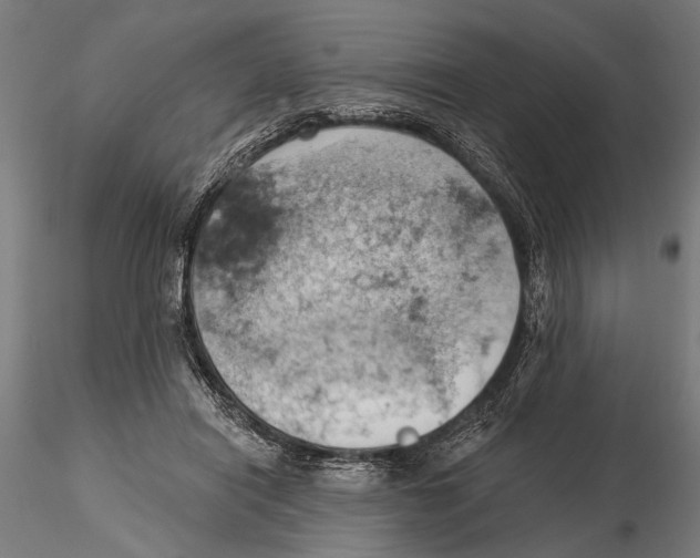 X0000115590454200912081053