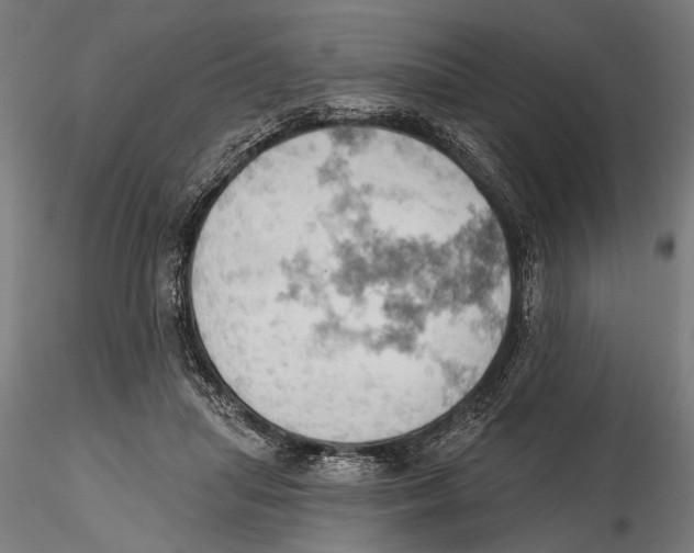 X0000115590455200912081053