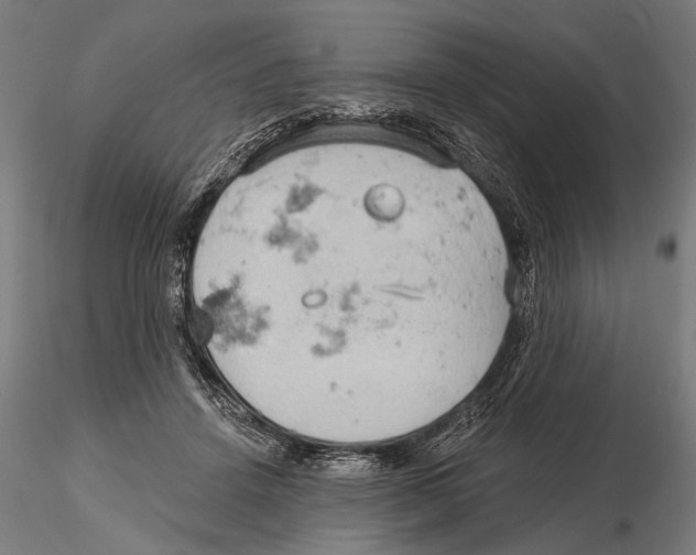 X0000115590456200912081053