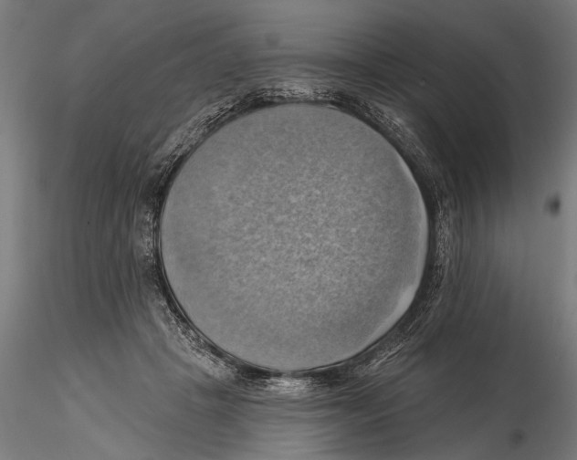 X0000115590457200912081053