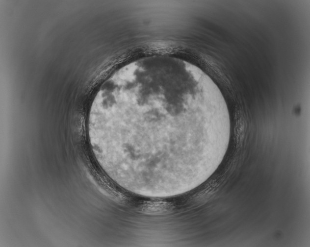 X0000115590459200912081053