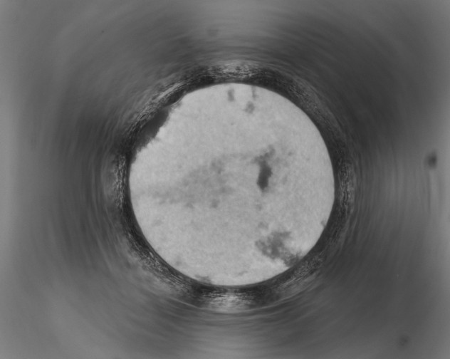 X0000115590460200912081053