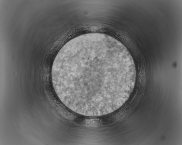 X0000115590461200912081053
