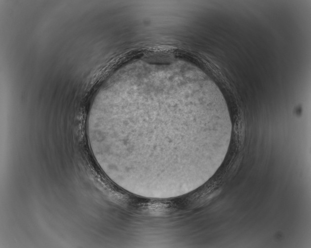 X0000115590462200912081053