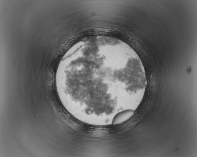 X0000115590463200912081053