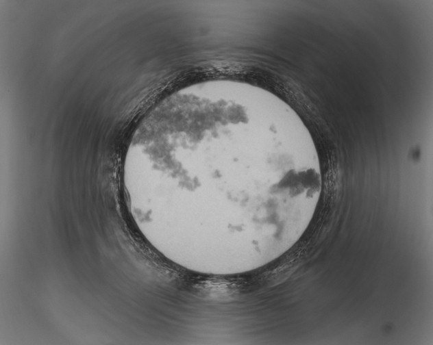 X0000115590464200912081053