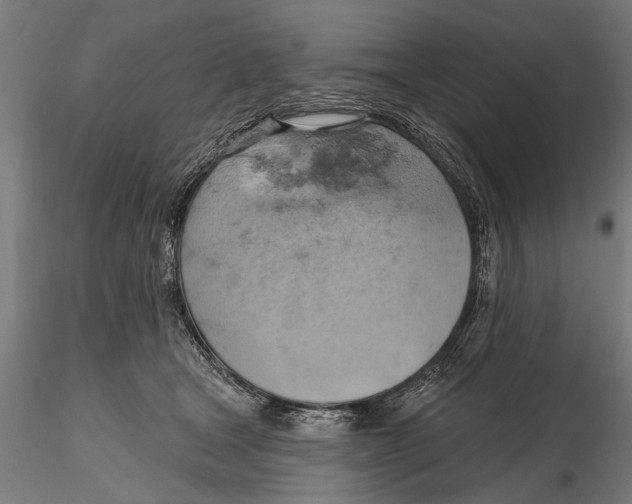 X0000115590465200912081053