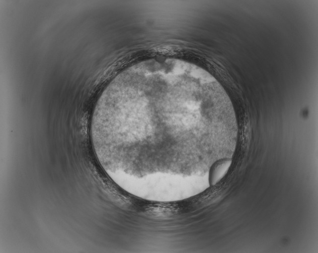 X0000115590466200912081053
