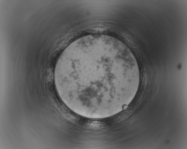 X0000115590467200912081053