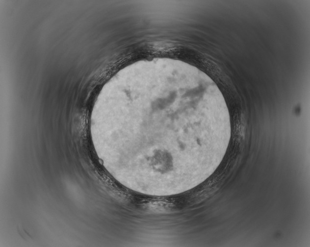 X0000115590468200912081053