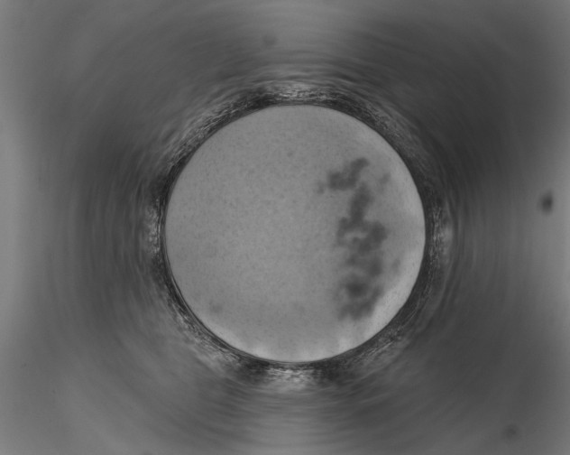 X0000115590469200912081053