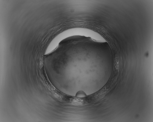 X0000115590471200912081053