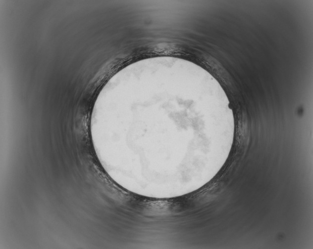 X0000115590473200912081053