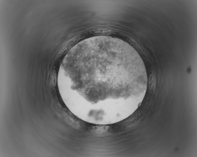 X0000115590474200912081053