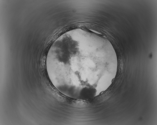 X0000115590475200912081053