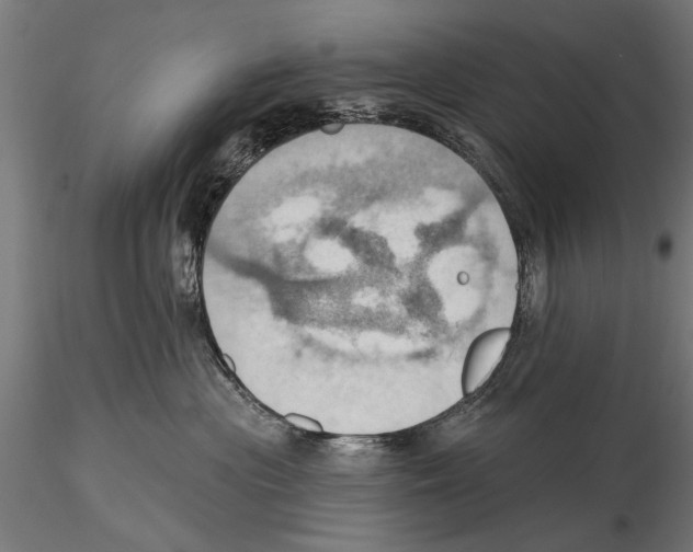 X0000115590477200912081053