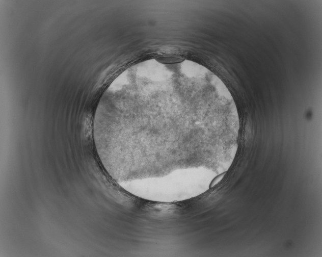 X0000115590478200912081053