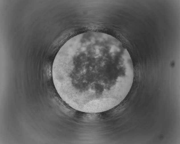X0000115590479200912081053