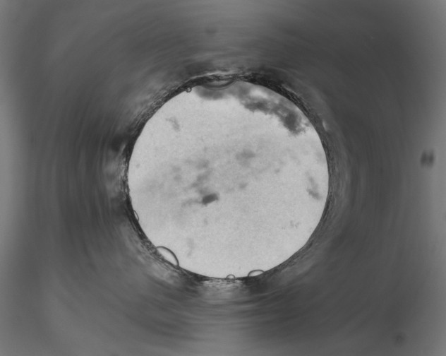 X0000115590480200912081053