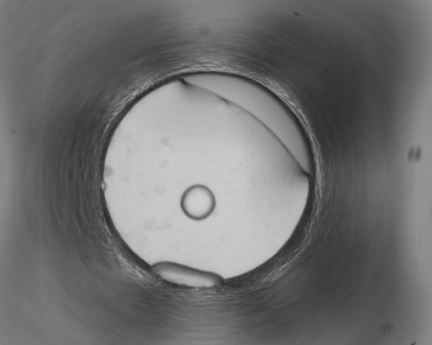 X0000115590481200912081053