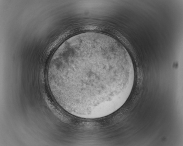 X0000115590482200912081053