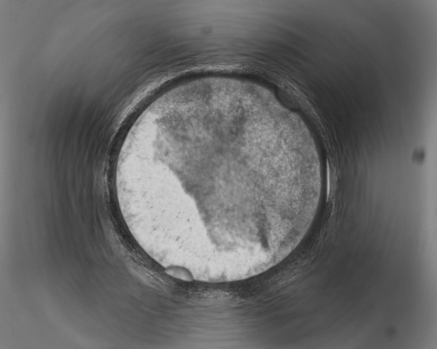 X0000115590483200912081053
