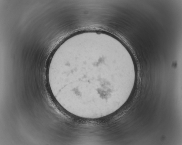 X0000115590485200912081053